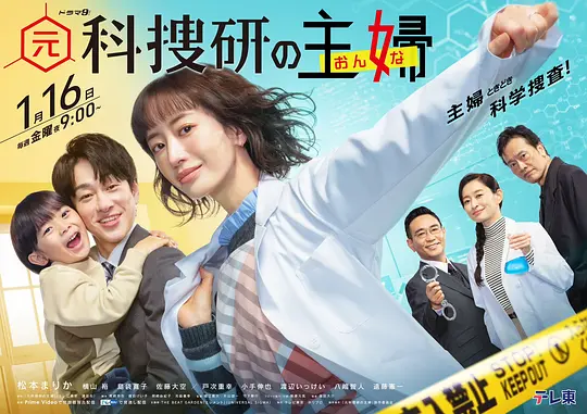 前科搜研的主妇海报