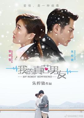 我的真芯男友海报