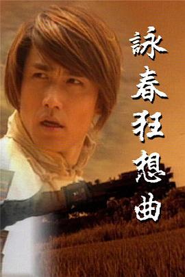 咏春狂想曲国语海报