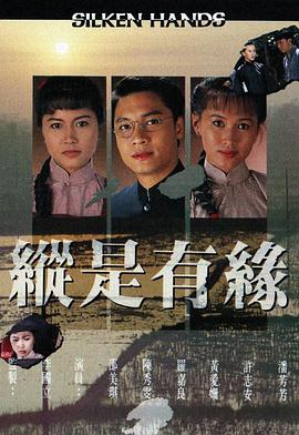 自梳女国语海报